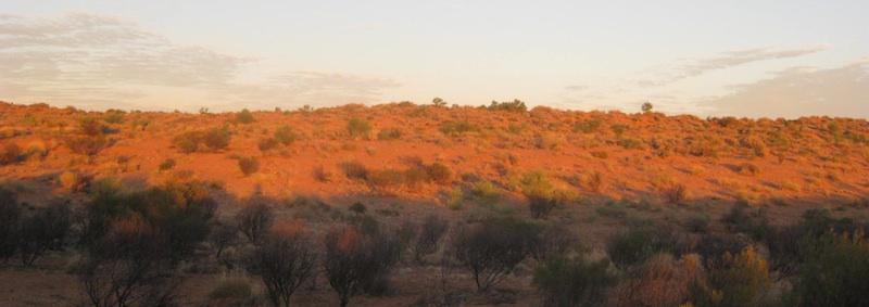 Simpson Desert dune