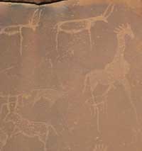 Petroglyphs, Twyfelfontein, Namibia