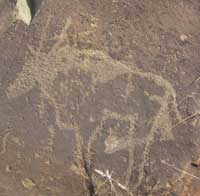 Petroglyph, Wildebeest Kuil Rock Art Centre, Kimberly, South Africa